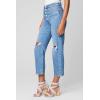 The Baxter Pant(Higher Power)
