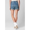 Blank NYC The Astor Cutoff Denim Shorts(Star Bursts)